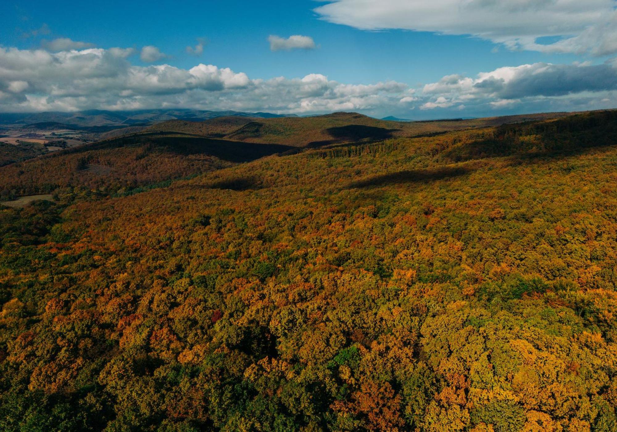Zama Forest Resort Veroce Экстерьер фото